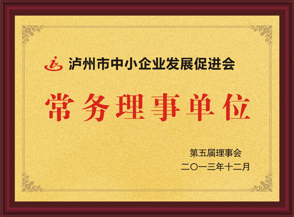 瀘州市中小企業(yè)發(fā)展促進(jìn)會(huì)常務(wù)理事單位